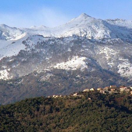 Casa Bonino Prunelli-di-Fiumorbo Exterior foto