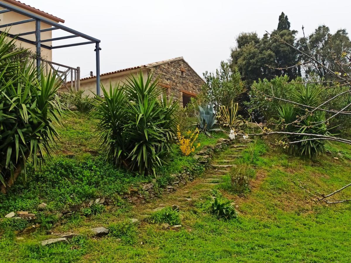 Casa Bonino Prunelli-di-Fiumorbo Exterior foto