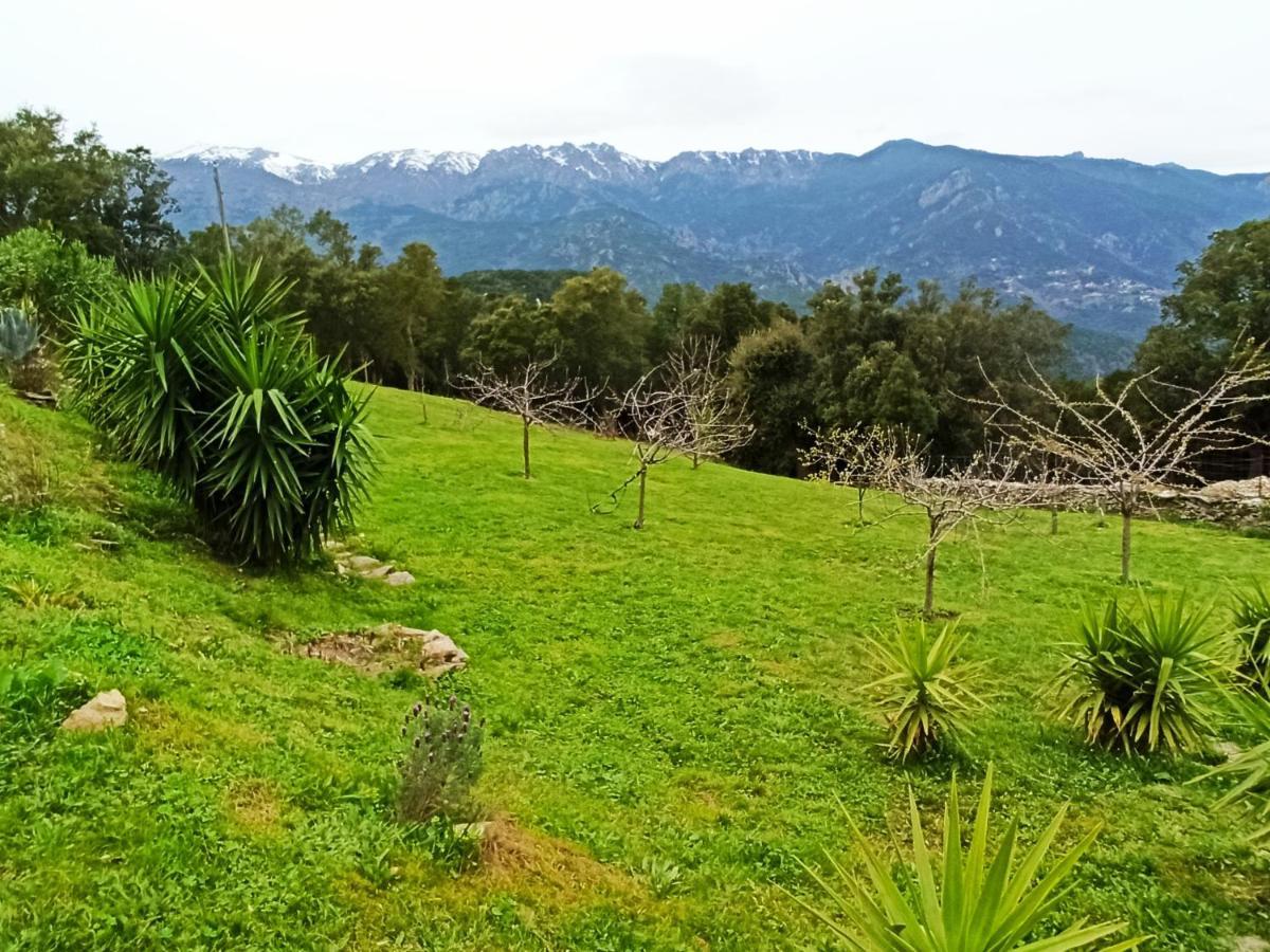 Casa Bonino Prunelli-di-Fiumorbo Exterior foto